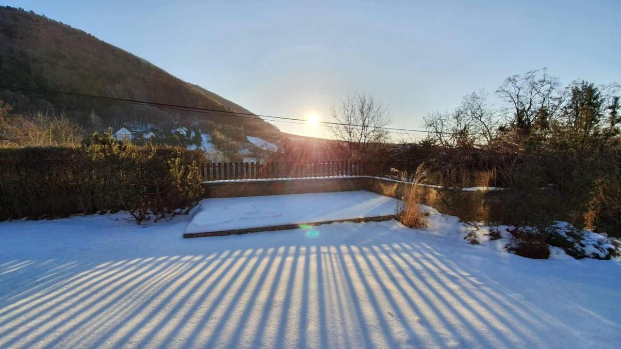 Garden View Vila Drienica Exterior foto